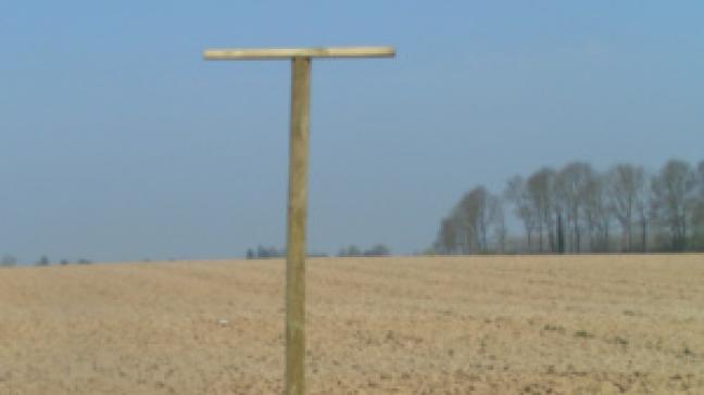 Les rapaces aiment avoir une vue panoramique, plus ils sont haut perchés, plus leur rayon d’observation est grand