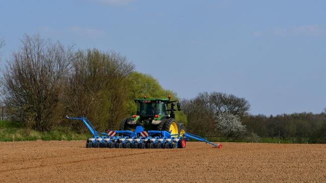 Les semis de betteraves sucrières progressent à un rythme soutenu depuis la fin mars.