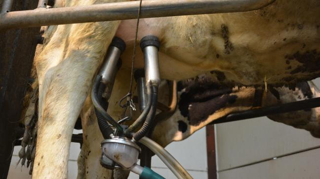 Les organisations professionnelles agricoles demandent à la Commission européenne d’activer le stockage privé pour tous les produits laitiers.