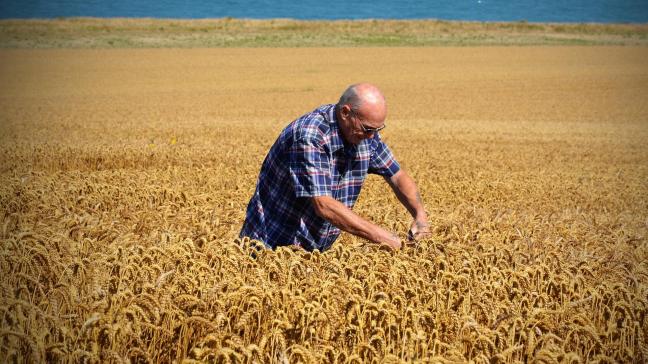 Un récent sondage révèle indiquant que plus de 90% des Français souhaitent que le gouvernement garantisse l’autonomie agricole de l’Hexagone après la crise du Covid-19... Cette indépendance agricole devrait en outre rimer avec écologie.