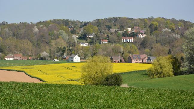 Le texte approuvé en commission agriculture du Parlement européen réitère  l’opposition des eurodéputés à toute réduction budgétaire liée à la PAC