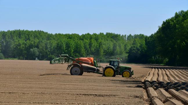 Alors que les dernières plantations s’achèvent, l’actualité dans les parcelles est occupée surtout par les traitements herbicides.