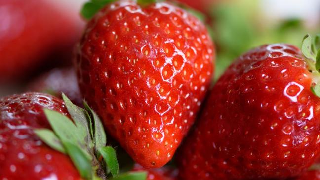 La saison des fraises a commencé dans les entités communales de Antoing, Beloeil, Bernissart, Beloeil, Péruwelz, Rumes et Tournai.