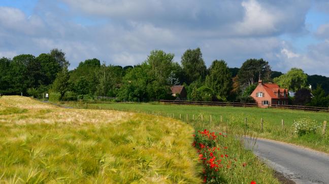 Les ministres européens de l’Agriculture craignent notamment la concurrence déloyale des importations de denrées venant de pays tiers qui n’appliqueraient pas les nouveaux standards environnementaux de l’UE.