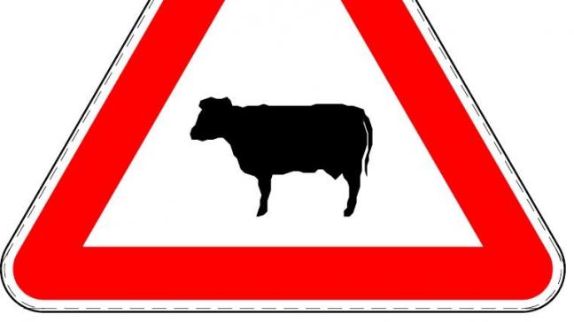 Il existe un panneau de signalisation spécifique pour la traversée de bétail, le panneau de danger A 29. Ce panneau de signalisation avertit les cyclistes et piétons qu’ils peuvent être confrontés à des animaux se trouvant sur le chemin.