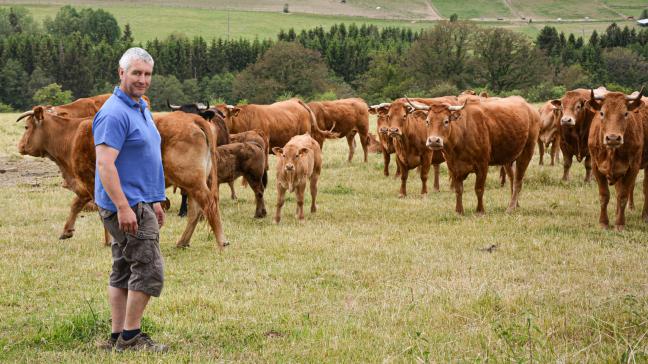 Le cheptel limousin compte 120 têtes. « Par rapport aux prairies disponibles et à la taille des bâtiments, c’est optimal », estime Jean-Yves.