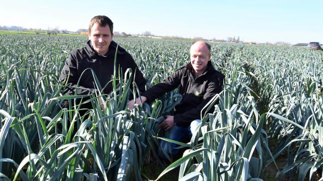 Au sein de Taco, David Fonteyne et Rudi Vandewiele assurent le rôle de conseillers pour des maraîchers installés principalement en Flandre occidentale.