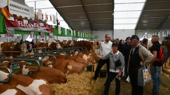 Les salons agricoles sont annulés les uns après les autres. Dernier en date, le Sommet de l’élevage, qui devait accueillir plusieurs dizaines de milliers de visiteurs professionnels français et internationaux, du 3 au 8 octobre prochains.