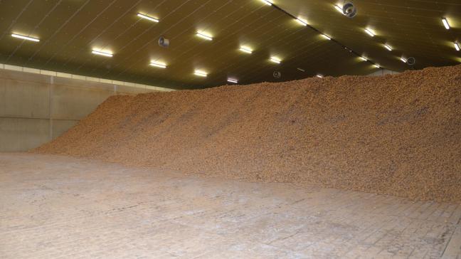Le modèle d’indemnisation porte sur une aide de 50 € maximum par tonne de pommes de terre de conservation détenues en propriété et stockées à la date du 15 mai 2020.