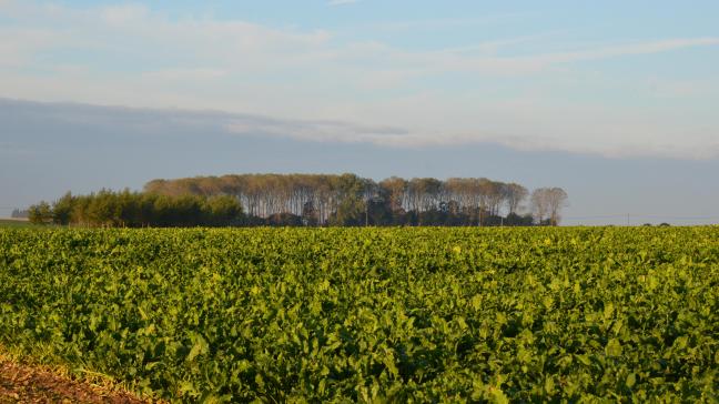 Si l’agriculteur conteste le choix d’une parcelle, il doit le signaler lors du premier contact avec le laboratoire mandaté par l’Administration pour la réalisation du contrôle APL.