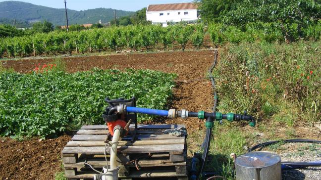 Les eaux mises en réserves peuvent être chargées et dépôts et algues. Une filtration permet d