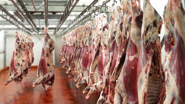 Durant l’été, les flux de viande bovine sont restés perturbés au sein de l’UE.
