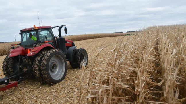 Les ventes de maïs américain à la Chine ont atteint le volume record de 8,7 millions de tonnes. Au 8 octobre, les ventes totales de maïs accumulées pour 2020 sont plus de 12 fois supérieures à celles accumulées à la même date en 2017!