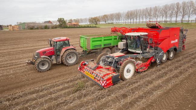Dewulf accepte dès maintenant les commandes pour l'Enduro via son réseau de concessionnaires. Le fabricant débutera la production en série de cette arracheuse par tamisage automotrice à 4 rangs à partir de l'année prochaine.