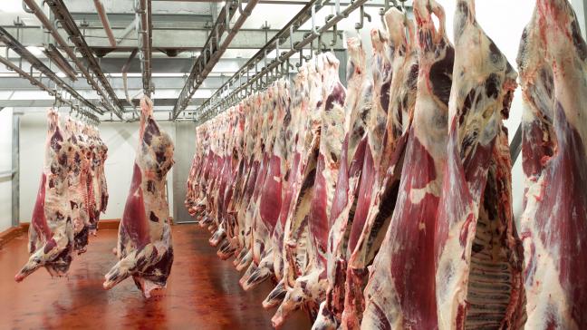 En Chine, les cours de la viande bovine demeurent élevés et tirent les importations.