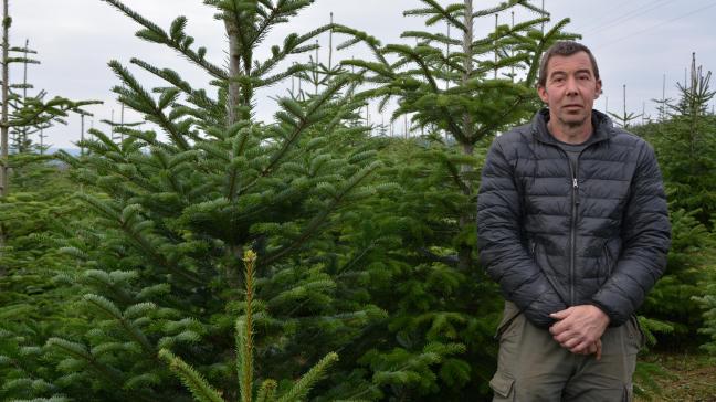 Tailles de formation réduites, traitements phytosanitaires peu fréquents, absence de désherbage chimique...  Christophe Denis produit ses sapins de Noël le plus naturellement possible.