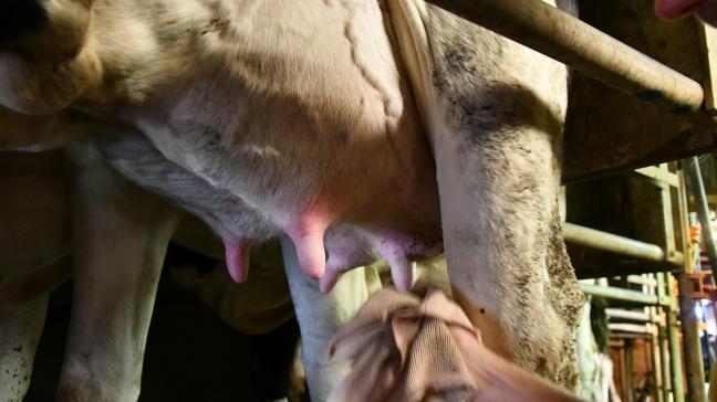 Plus de 95 % des importations britanniques de produits laitiers proviennent de l’UE-27. Le Royaume-Uni n’est autosuffisant qu’à 81% en la matière.