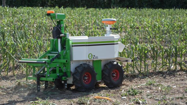 Les robots seront de plus en plus présents à l’avenir, notamment dans les exploitations maraîchères où les opérations de désherbage peuvent être chronophages.