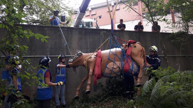 Manipulation d’un mannequin de vache de 400kg lors de travaux pratiques.
