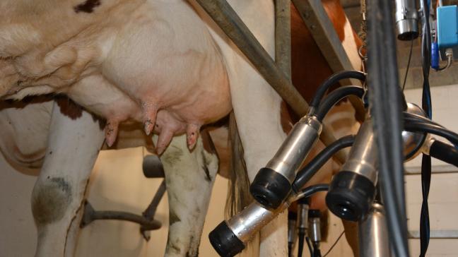 «Les producteurs laitiers wallons doivent être inscrits dans la base de données Bigame pour obtenir et maintenir leur certificat QFL», rappelle MilkBE.
