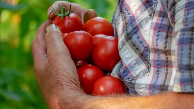 L’accord couvre des dizaines de quotas et des milliards d’euros d’échanges commerciaux concernant notamment les fruits et légumes, la viande bovine, la volaille, les produits laitiers...