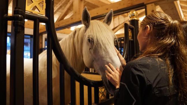 De nombreux cavaliers s’adressent déjà de manière enfantine à leurs chevaux. Cela facilite la communication dans les interactions quotidiennes et accroît le bien-être des animaux.
