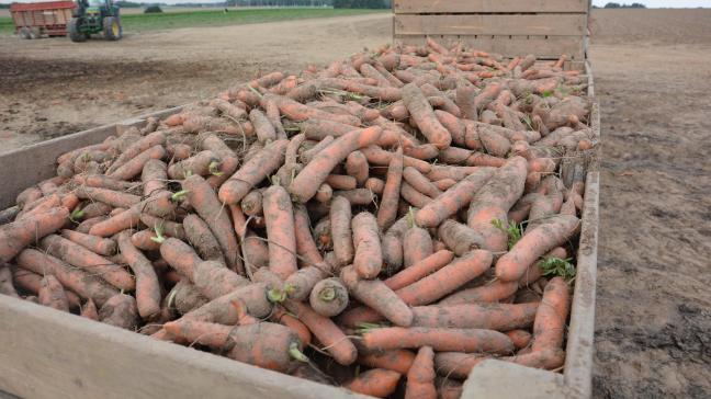 La transformation belge de légumes industriels est confrontée à un grand nombre de questions de clients français sur la manière dont les matières premières belges vont répondre aux exigences environnementales. Le Standard «VegaplanFR» permettra d’y répondre.