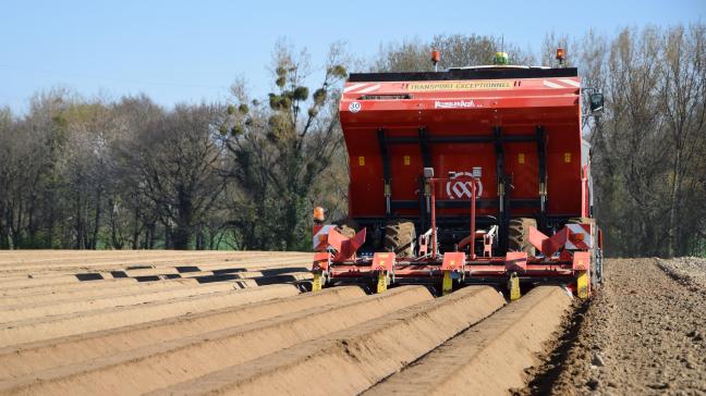 Les producteurs sont confiants car les hâtives seront plus tardives, tandis que les cultures principales en terre sortiront plus tard et que le temps froid depuis début avril a contribué à maintenir la plupart des stocks en bon état.