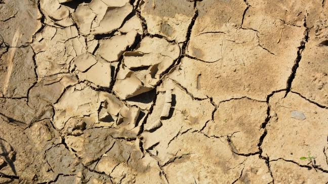 Pour bénéficier d’une aide, les agriculteurs doivent introduire une demande d’aide à la réparation pour le 30 juin 2021, au plus tard.