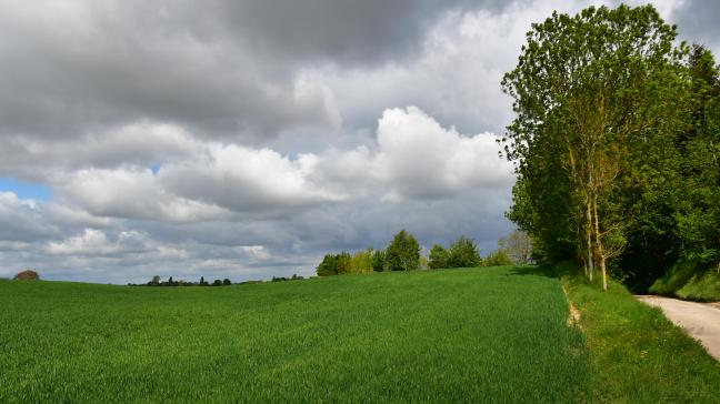 Le moment est venu de boucler l’accord politique sur la nouvelle politique agricole commune, alors que des nuages planent encore sur l’issue de quelques dossiers.