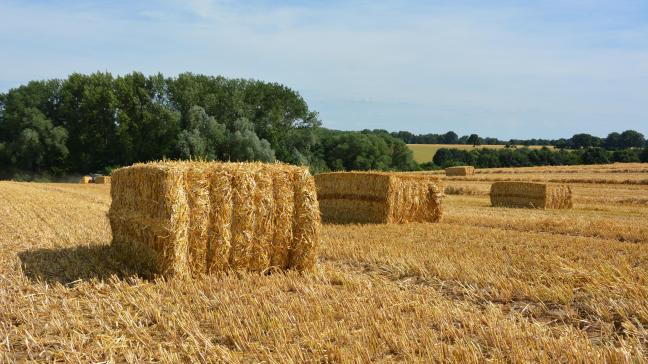 Le programme est prévu pour une durée de trois ans  et rassemble déjà près de 30 agriculteurs européens.