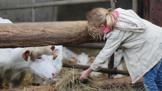 Les JFO, une occasion pour les plus petits d’aller à la rencontre  des animaux de la ferme.