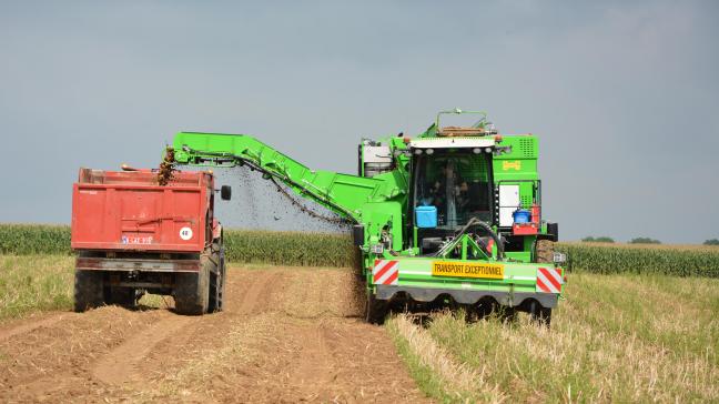 La production totale de pommes de terre dans la zone NEPG devrait être d’environ 22,4 millions de tonnes produites sur une superficie de 497.700 ha.