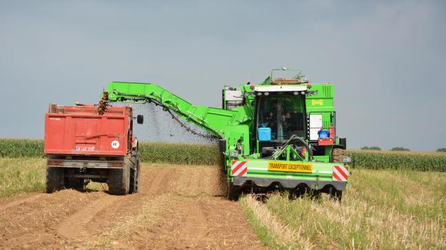 La production totale de pommes de terre dans la zone NEPG devrait être d’environ  22,4 millions de tonnes produites sur une superficie de 497.700 ha.