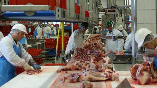 La pénurie de bouchers pourrait entraîner l’abattage de 150.000 porcs dans les prochains jours.