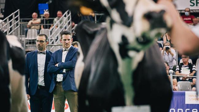 C’est avec une belle complicité que Pierre Creppe et Quentin Pierrard ont jugé ce Challenge Prim’Holstein.