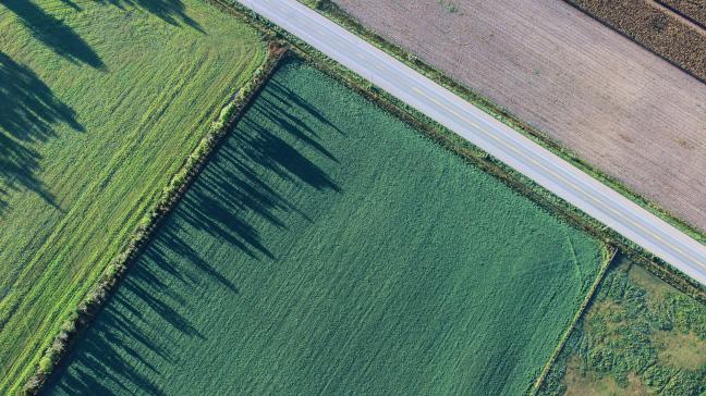 Pour la Pologne, si la tendance à la hausse des prix des engrais n’est pas stoppée à temps, « il deviendra alors extrêmement difficile, voire impossible, de répondre aux attentes du Pacte Vert ».