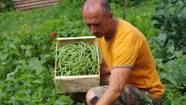 Les critères de sélection pour être « Lauréat du Travail » reposent sur des qualités humaines et professionnelles telles que la capacité d’innovation, l’engagement social, le respect  de l’environnement, la transmission des connaissances et la formation…