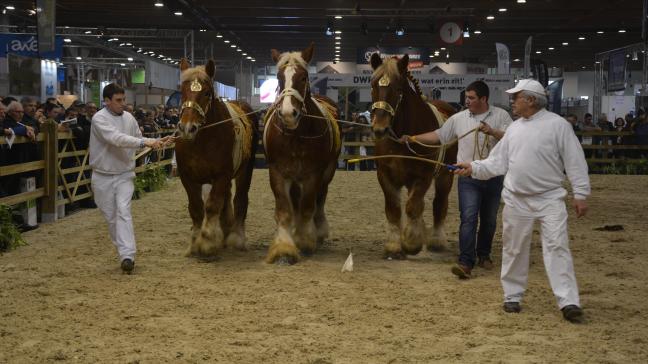 En raison de l’annulation d’Agribex, le National n’avait pu avoir lieu en décembre dernier.