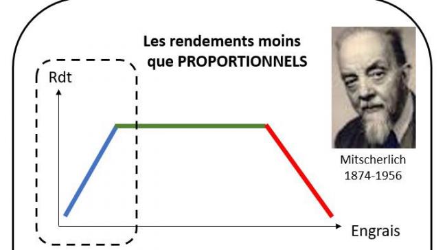 loi des rendements