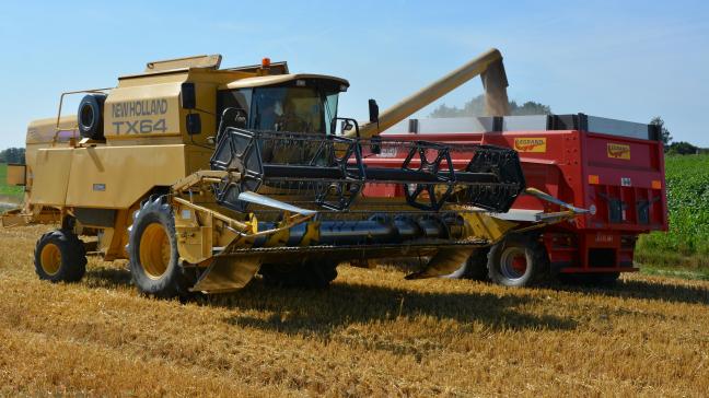 Pour 2022, la production mondiale de blé devrait atteindre 782 mt.