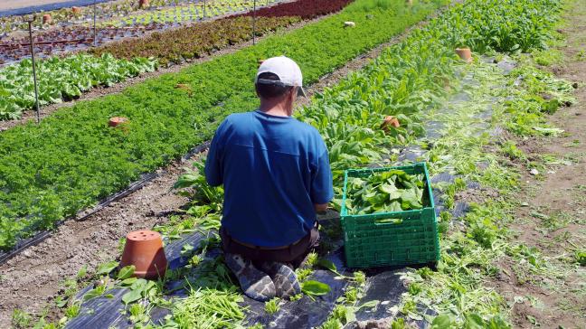 La profession d’agriculteur, plus que toute autre, se vit  et se partage très fréquemment en famille.