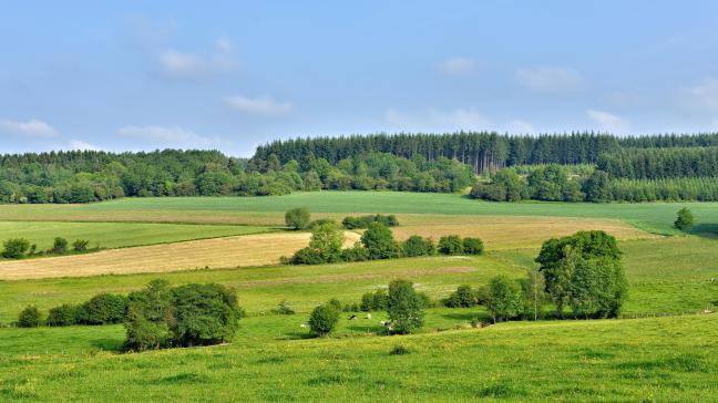 En effet, si la loi sur le bail à ferme limite la possibilité de céder son bail à un tiers, tel n’est par contre pas le cas lorsqu’il s’agit de le céder à un parent éligible.