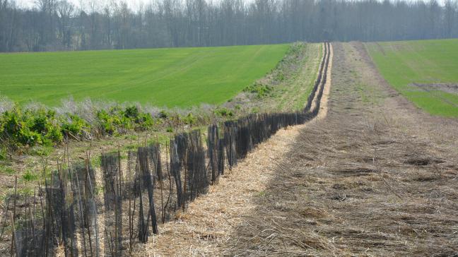 En vue de soutenir la transition agroécologique en Wallonie, huit actions et quatre objectifs ont été fixés, pour une période de quatre ans.