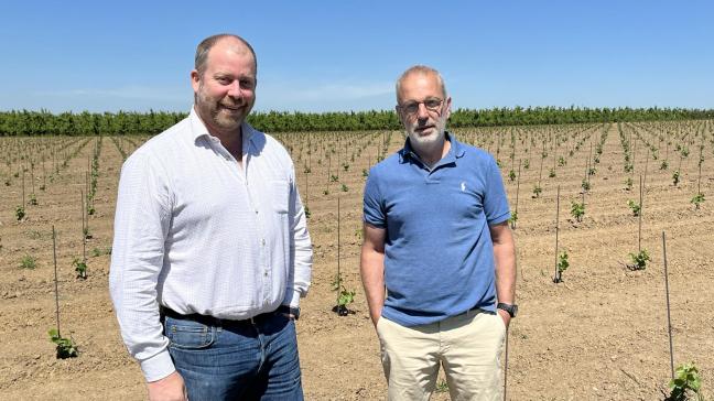 Nicolas Haegelsteen et Xavier Regout, deux néo-vignerons.