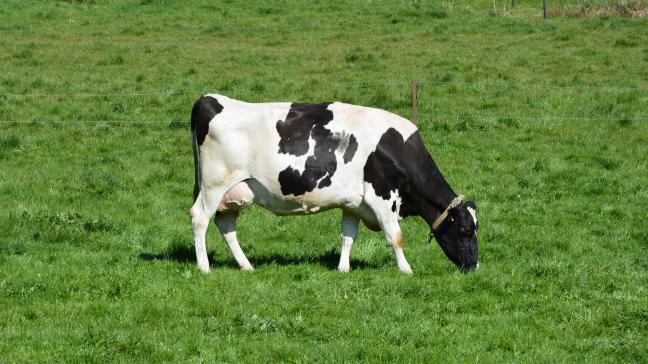 Les négociations sur l’agriculture ont été particulièrement compliquées, mais de généreuses incitations financières ont été promises par le gouvernement irlandais.