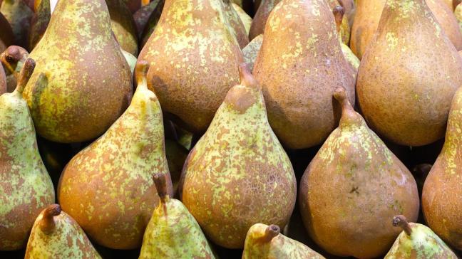 pears-g6aa153126_1920