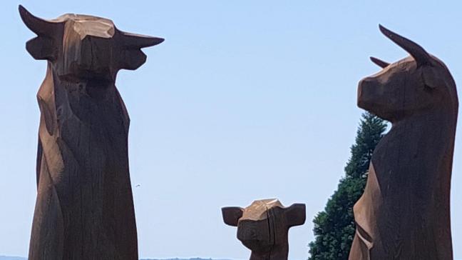 Les trois totem limousins qui trônent fièrement au pôle de Lanaud.