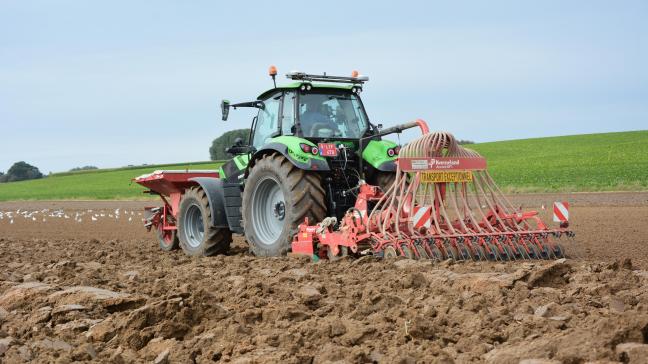 Une solution simple pour lutter contre la mouche des semis consiste à enfouir rapidement les résidus de culture afin de ne pas permettre à la mouche de pondre.