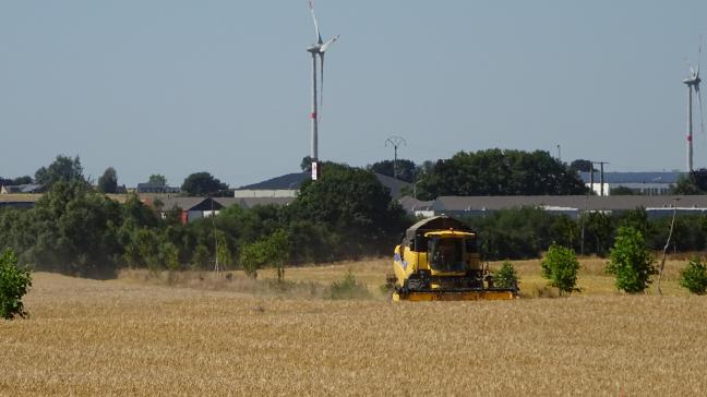 Agroforesterie et mécanisation sont parfaitement compatibles lorsque l’intégration  des machines dans le projet a été correctement réfléchie.